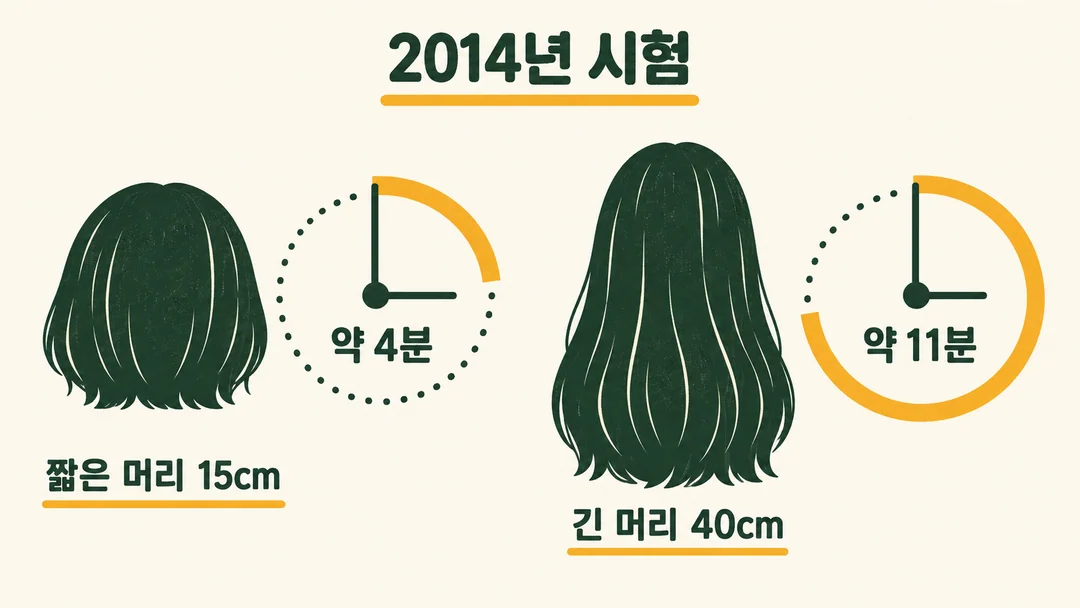2014년 시험에서 건조가 빠른 제품들도 15cm 짧은 머리는 약 4분, 40cm 긴 머리는 약 11분 걸린 결과를 비교한 생성 그림.